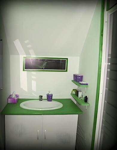 a bathroom with a sink and a mirror at Le Courtil De Bourrien in Languédias