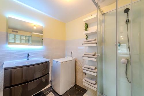 a bathroom with a sink and a shower at Au Coeur De Plouguerneau in Plouguerneau