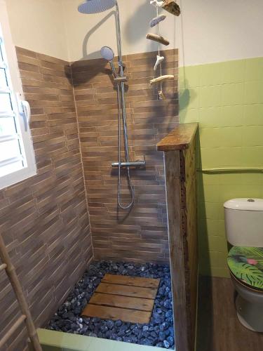 a bathroom with a shower with at Gîte KAZ' A TYKA jacuzzi privatif in Saint-François