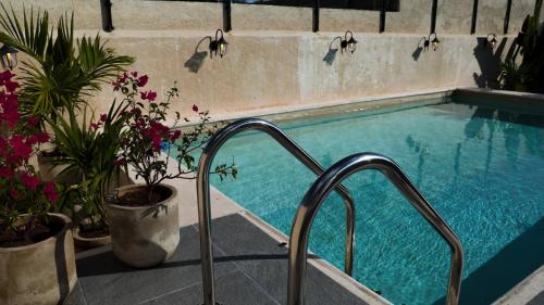 a swimming pool with a bunch of plants next to it at Hotel Casa Vivaldi in Mérida