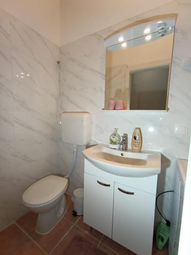 a bathroom with a toilet and a sink and a mirror at Palace Pernarius in Cavtat