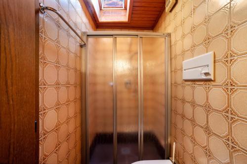 a bathroom with a shower and a toilet at Rieglhof Apartment Kükennest in Curon Venosta