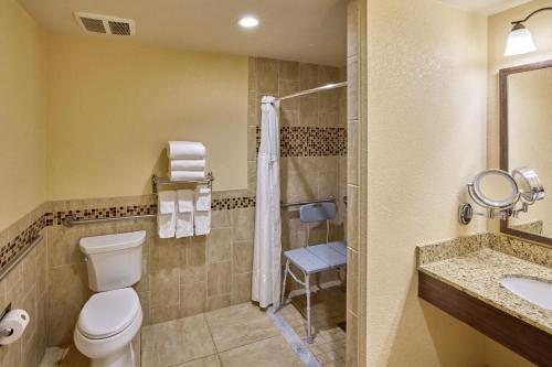 a bathroom with a toilet and a shower and a sink at Choctaw Casino & Resort Pocola, Trademark Coll by Wyndham in Pocola