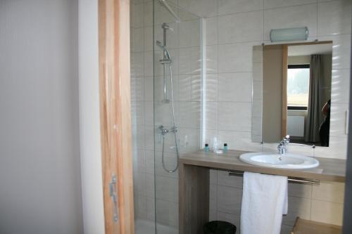 een badkamer met een wastafel en een douche met een spiegel bij Auberge du château de Joux in La Cluse et Mijoux