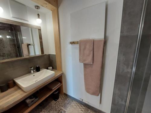 a bathroom with a sink and a shower at Ferienwohnung Am Eselsburger Tal in Herbrechtingen