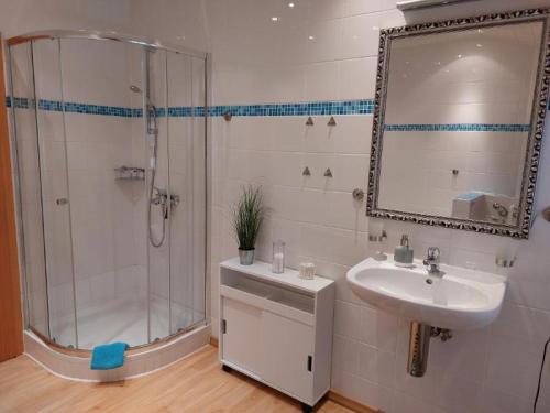 a bathroom with a shower and a sink and a mirror at Fewo 1 - Osterberg in Liebenau