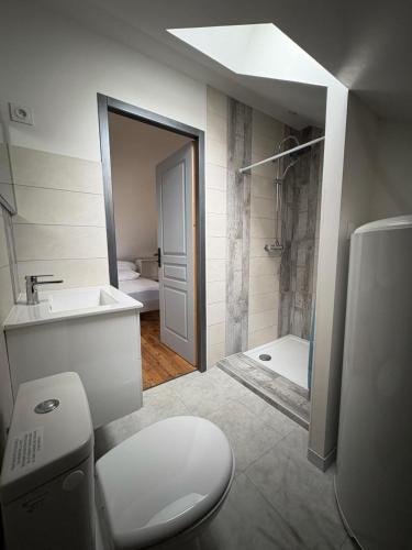 a bathroom with a toilet and a sink and a shower at Maison de vacances avec piscine in Messeix