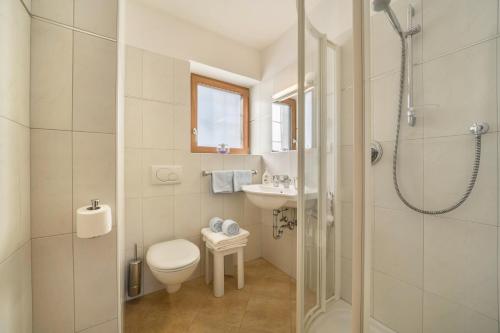 a bathroom with a shower and a toilet and a sink at Ferienwohnung Hirzer Edelweiss in Avelengo