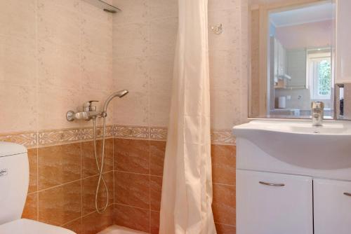 a bathroom with a shower and a toilet and a sink at Apartment Vorrisi in Alykes