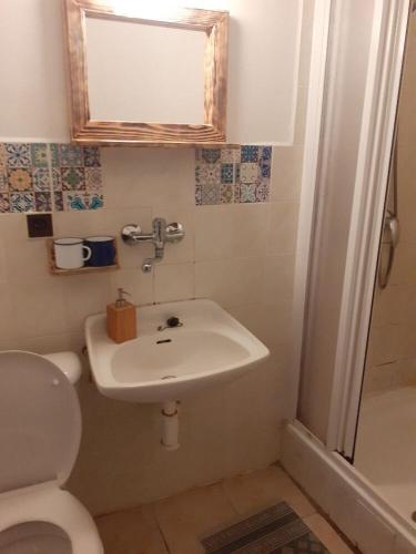 a bathroom with a sink and a toilet and a mirror at Penzion Bobas in Jindřichŭv Hradec
