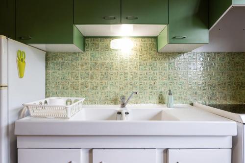 a kitchen with a sink and green cabinets at L'Arête de Chalamon in Menthon-Saint-Bernard