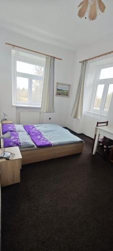 a large bed in a room with two windows at Penzion Bobas in Jindřichŭv Hradec