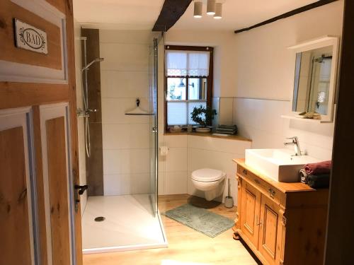 a bathroom with a shower and a toilet and a sink at Fachwerktraum im Hof in Alheim