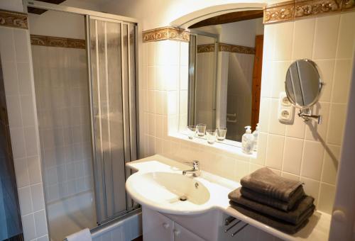 a bathroom with a sink and a shower and a mirror at Mühlenhof in Olbersdorf