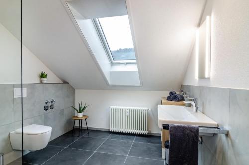 a bathroom with a toilet and a sink and a skylight at Sonne und Mehr in Stockach