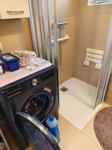 a washing machine in a bathroom with a shower at Ferienhaus Wurzinger in Mureck