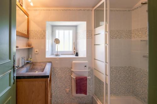 a bathroom with a sink and a toilet and a shower at Domaine de Lestroué - Belle-île in La Vraie-Croix