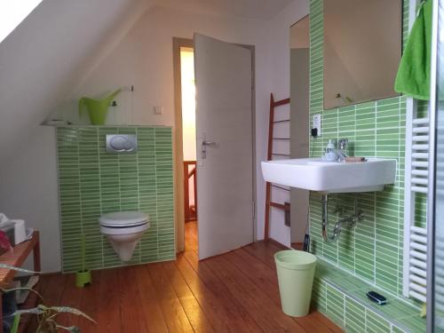 a bathroom with a sink and a toilet at Freilandhof in Ötisheim
