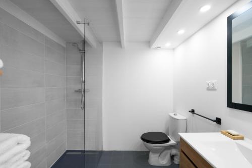 a white bathroom with a shower and a toilet at Maison Séjour Capraisien in Saint-Capraise-de-Lalinde