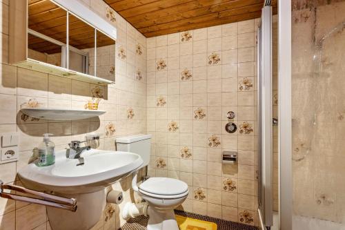 a bathroom with a toilet and a sink and a shower at Ferienwohnung an den Bergen in Unterwössen
