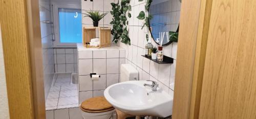 a bathroom with a sink and a toilet at Mb Homes Hechingen in Hechingen