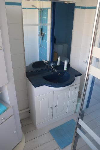 a bathroom with a sink and a mirror at Gite Chez Jeanne in Pern