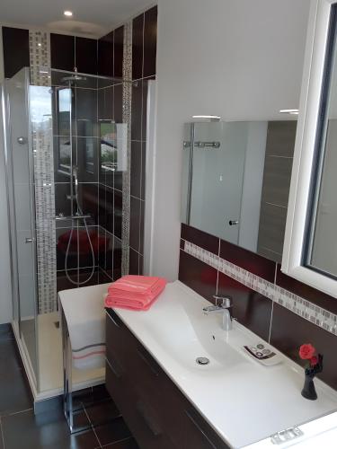 a bathroom with a sink and a shower at Gîte Le Campet in Millau
