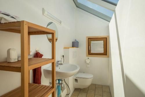 a bathroom with a white toilet and a sink at Haus der Sinne Bregenzerwald in Tannen