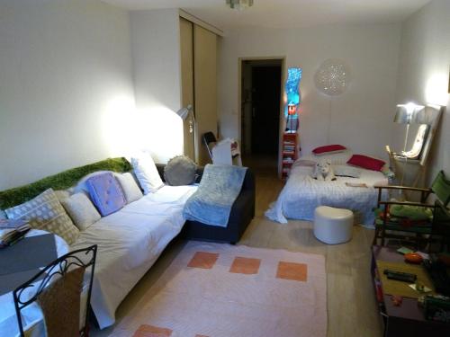 una sala de estar con un sofá y una cama en Joli studio avec jardinet, en Aviñón