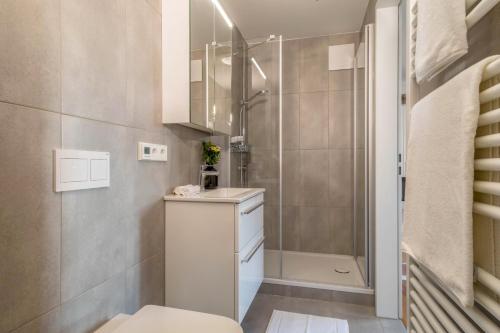 a bathroom with a shower and a toilet and a sink at 1 Zimmer-appartment Nr 11 in Wangen im Allgäu