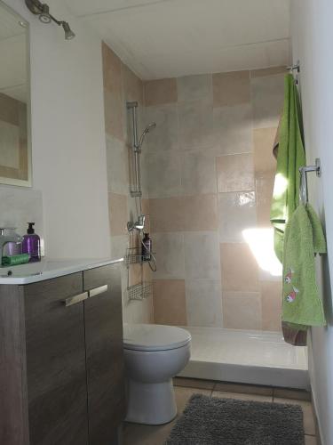 a bathroom with a toilet and a shower and a sink at Roca Penthouse in Estepona