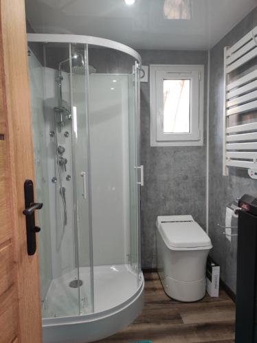 a bathroom with a shower and a toilet at Unser Großer - Tiny House in Mayrhof