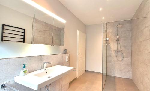 a bathroom with a sink and a shower at Gittas Paradiesperle in Niederdreisbach
