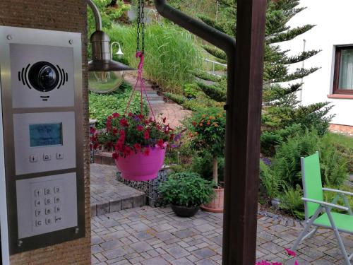 a garden with potted plants on a patio at Ferienwohnung am Silberg in Plettenberg