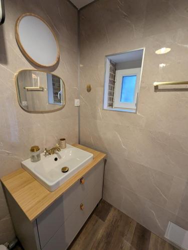 a bathroom with a sink and a mirror at Jo And Manu's Barn in Falaise