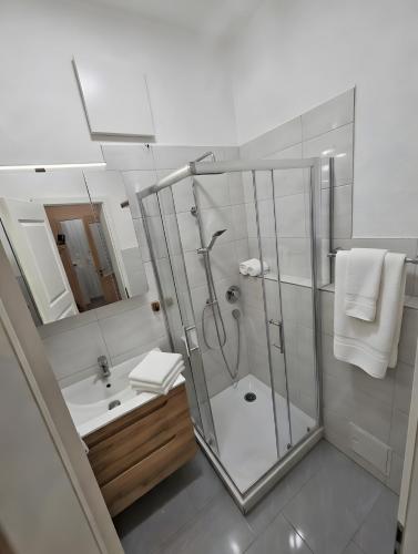 a bathroom with a shower and a sink at Max Hinterhaus in Dresden