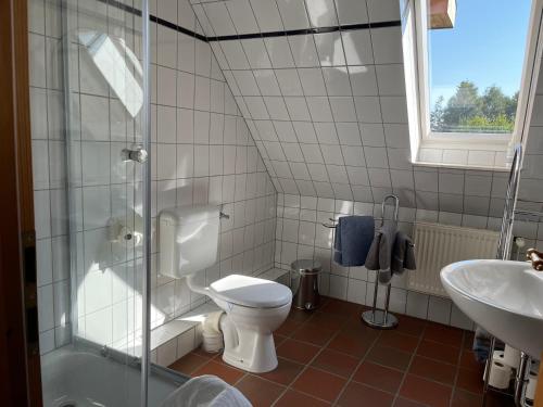 a bathroom with a toilet and a sink at Ferienhof Anke Thiede in Lehe