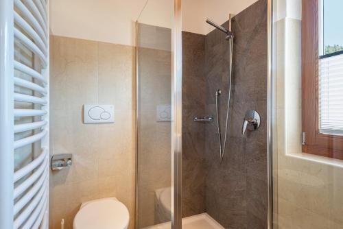 a bathroom with a shower with a toilet at Thusnelda Apartment C in Siusi