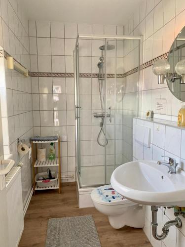 a bathroom with a shower and a toilet and a sink at Haus Usedom in Kröslin