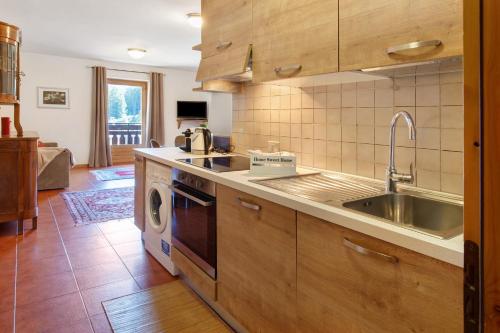 a kitchen with a sink and a dishwasher at Cima de' Piazzi Apartment 1 in Valdidentro