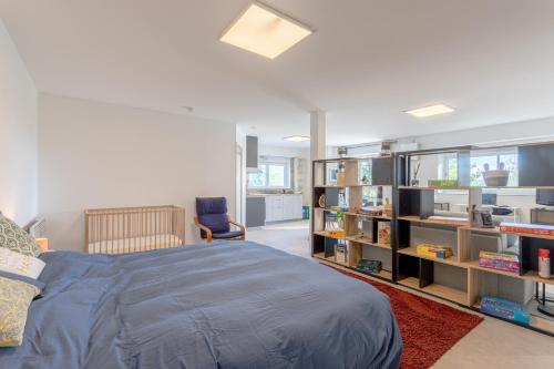 a bedroom with a large bed and book shelves at Gîte Axeri Xilo in Saint-Martin-dʼArrossa