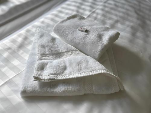 a white towel sitting on top of a bed at Fewo A6 mit Sauna und Fitnessraum in Oberaudorf