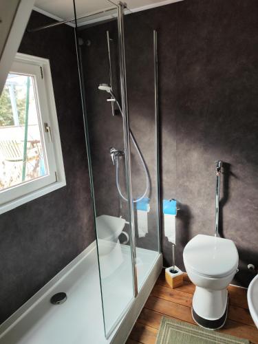 a bathroom with a shower and a toilet at Ferienunterkunft Göhlich in Maintal