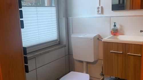 a small bathroom with a toilet and a sink at Ferienhaus in Finsterbergen in Friedrichroda