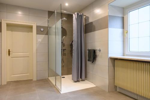 a shower with a glass door in a bathroom at Gîte Le Rempart in Guebwiller