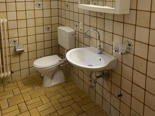 a bathroom with a toilet and a sink at Ferienwohnung Josefa Ganter 80qm in Ühlingen-Birkendorf
