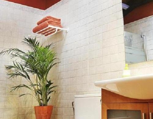 a plant in a bathroom next to a sink at Apartamento ll in Iráizoz