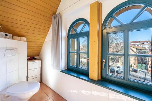a bathroom with a toilet and a window at Elbloft Radebeul Am Elberadweg Mit in Radebeul