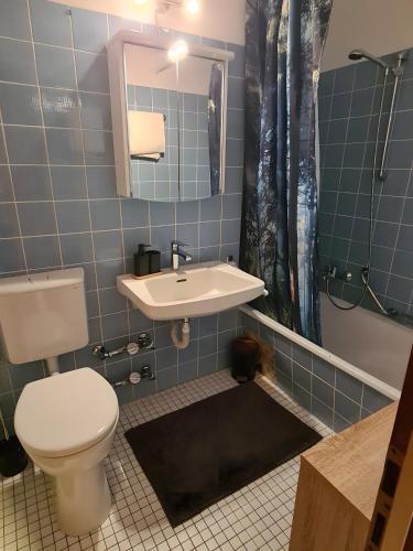 a bathroom with a toilet and a sink at Schwarzwald Heimat mit Pool, Sauna in Schönwald