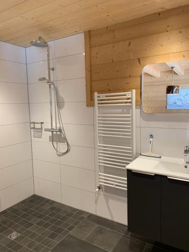 a bathroom with a shower and a sink at Chez Gilles chalet haute cimes in Châtel
